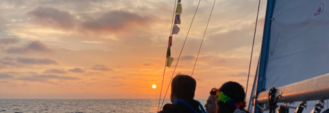 Experience sea life in native habitat